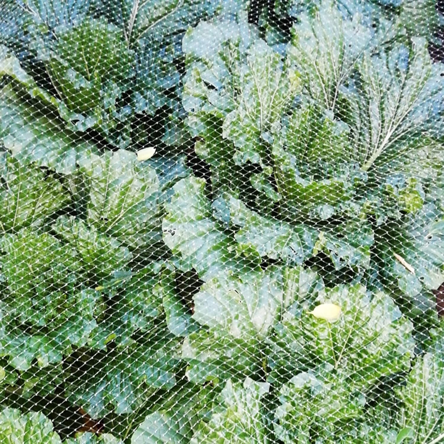 Rete for uccelli, alberi da frutta/piante/reti for fragole, grande recinzione giardino in plastica bianca, for animali, temporanea, for polli(5x10m/16.4x32.8ft)