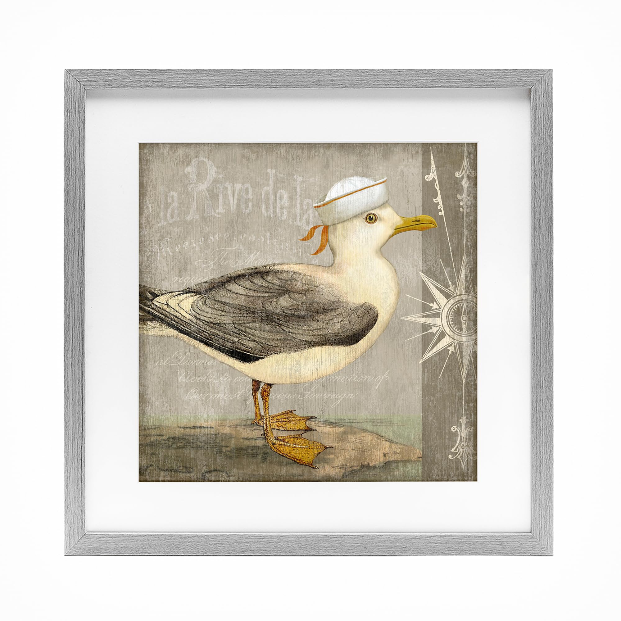 Stupell Industries Vintage Seagull Nautical Compass 'Rustic Little Seagull', Framed Print Under Glass, Gray, 16 X 16 Inches, Easy To Hang And Sturdy, Made In Usa, By Suzanne Nicoll