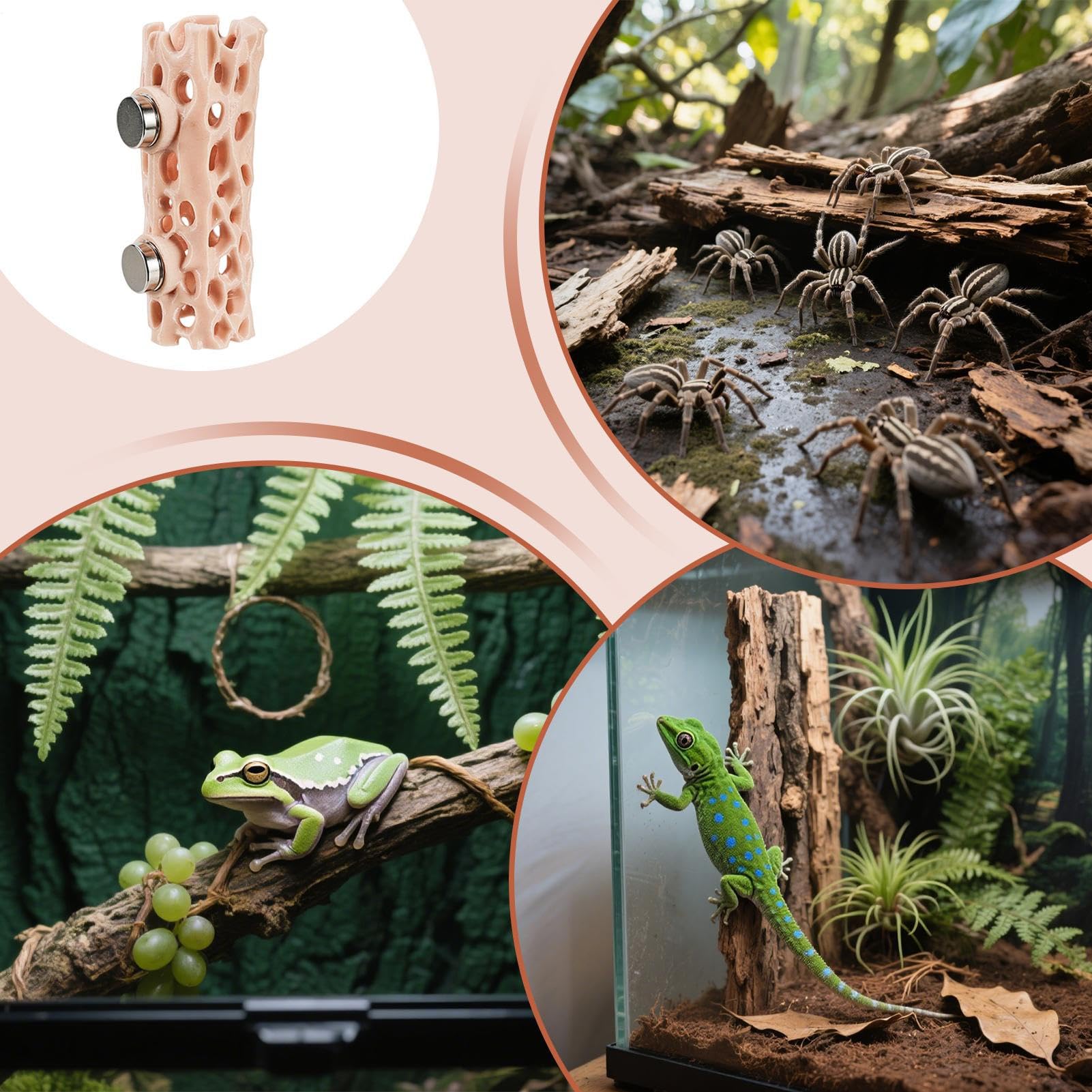 Spider Shelter - Magnetic Reptile Hiding Place | 3D Printed Gecko Cave, Sturdy Habitat for Jumping Spider, Climbing Pet Frog, Amphibian Enclosure, Safe and Easy-to-Attach Terrarium Accessory