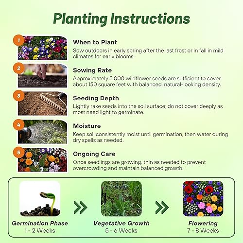 Miniatura 5 de Outsidepride Mezcla de semillas de jardín de flores japonesas - 10000 semillas