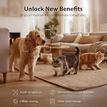IMIPAW Automatic Cat Feeder with Camera - AI Pet Recognition & Recording, Night Vision, 5G WiFi APP Remote Control, Two-Way Audio & Desiccant Bag, Timed Programmable Food Dispenser for Small Pets