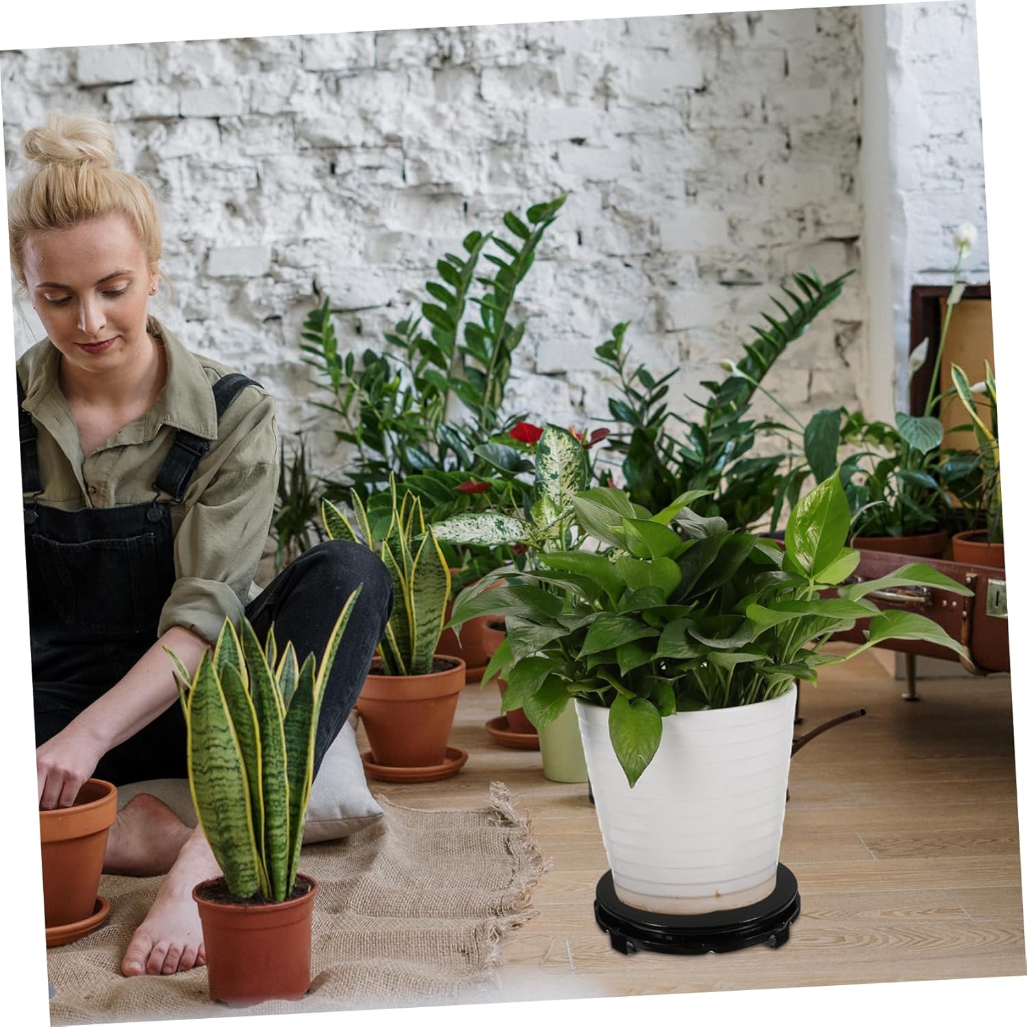 Sturdy Swivel Base for Vases Wooden Plant Stand Capacity for Heavy Flowerpots