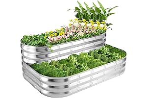 Raised Garden Beds to Organically Grow Your Own Plants