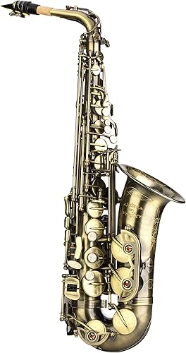 Miniatura 35 de Kit de cuidado para saxofón con 11 reeds, 8 para saxofón alto cojines, funda, Glory E Flat, Dorado
