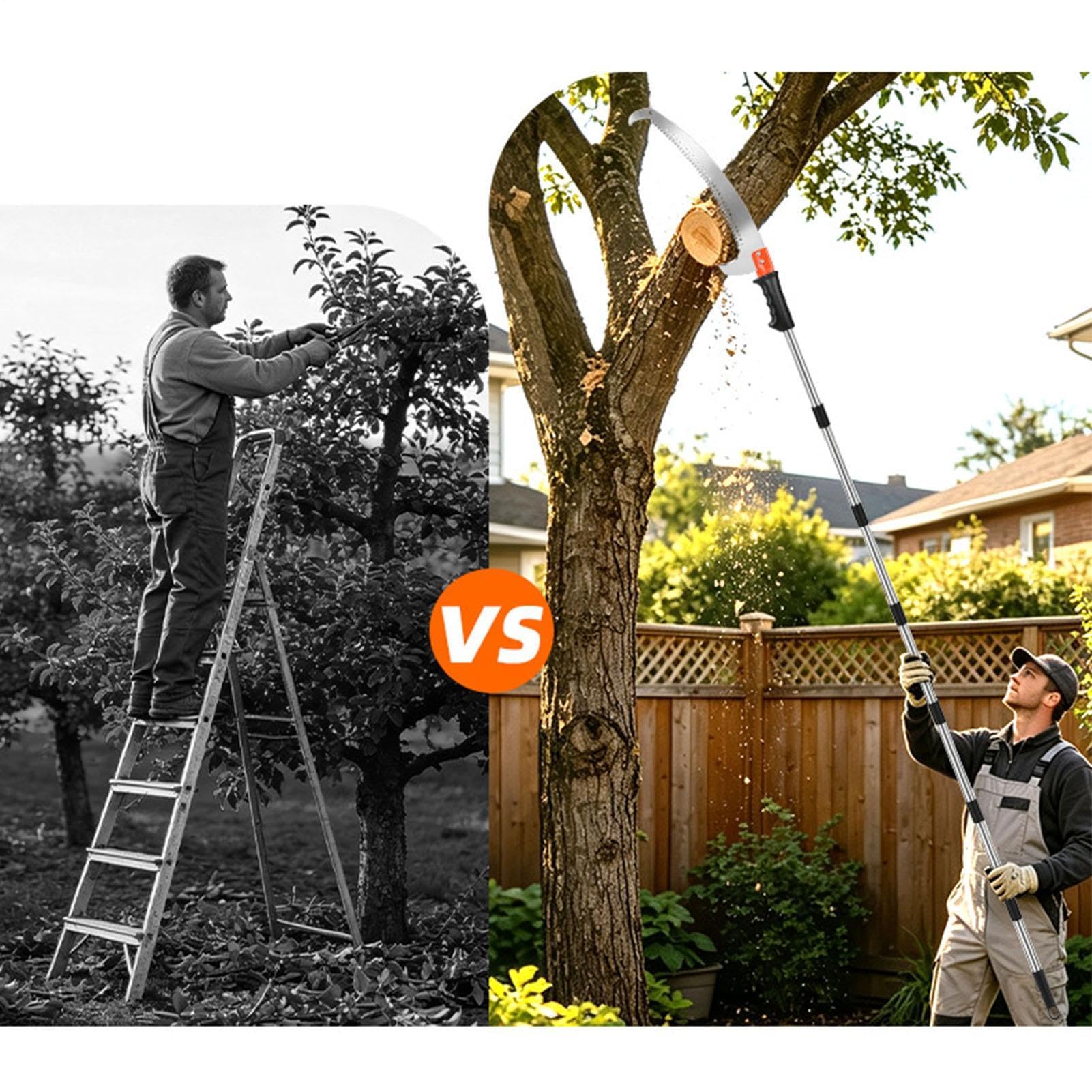 Sécateurs à perche pour taille d'arbres Outils d'élagage inoxydables à