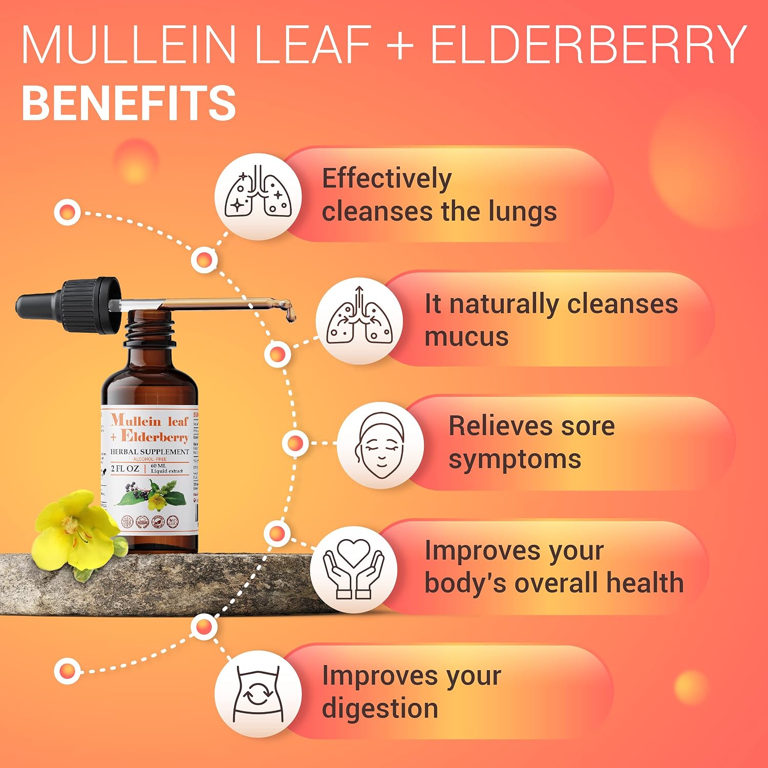 FabLab Mullein Leaf Extract with Elderberry Extract 2 fl oz Supports Healthy Respiratory Function & Immune System Organic Mullein Lung Cleanse Herbal Supplement