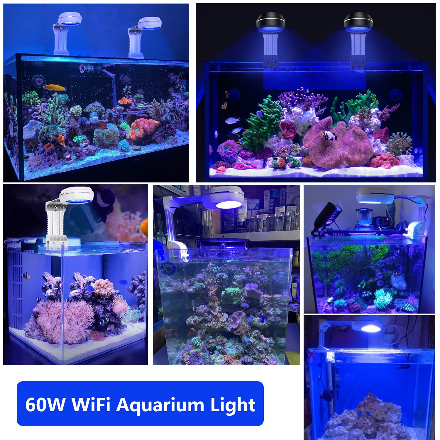 PopBloom RL60 Acquario LED Reef Light, Smart-APP controlla spettro completo LED marino per acquari di corallo di acqua salata