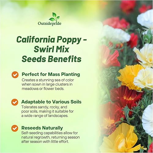 Miniatura 3 de Outsidepride Eschscholzia Californica California Poppy Garden Swirl Mix - Semillas de flores - 100 semillas