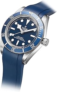 Amazon.com: Crafter Blue TD03 Curved End Watch Band Rubber Strap