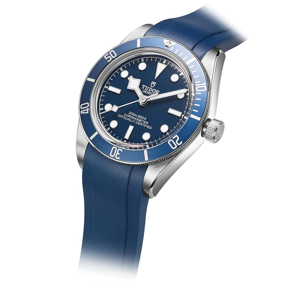 Amazon.com: Crafter Blue TD03 Curved End Watch Band Rubber