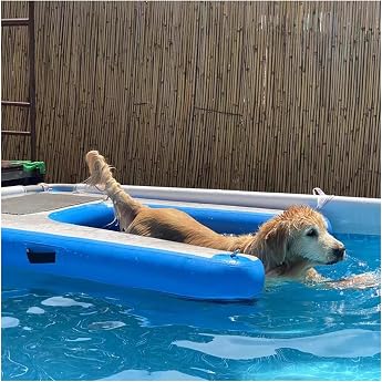 Hundebadeleiter Faltbare Rampen f r Hundepools See/ Anlegestelle/ Boot/ Meer schwimmender Hundebadeleiter Rutschfeste EVA-Liegeplattform f r Hunde bis 60 kg Einfach aufzublasen und zu entleerenBlue1