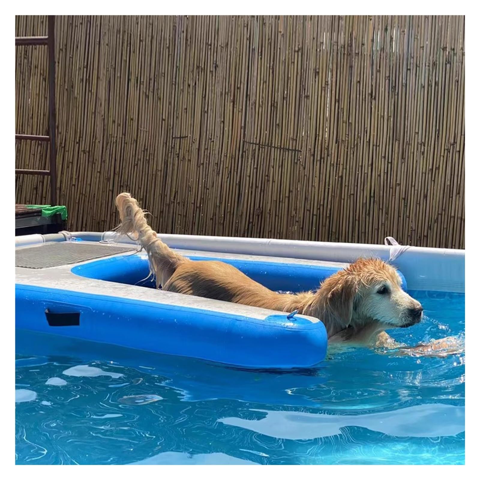 Rampa Galleggiante Pieghevole per Accesso a Piscina e Barca, Scala Antiscivolo Gonfiabile per Animali Domestici, Supporta Cani Fino a 60 kg