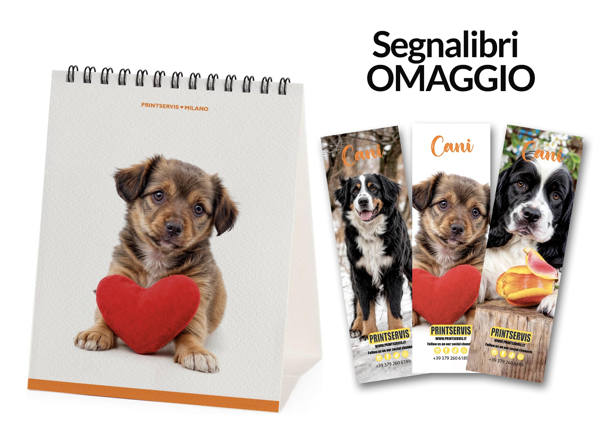 Personalised Table Calendar 2024/2025, Artistic and Creative Design, Size 118 x 148.5 mm - Image 3