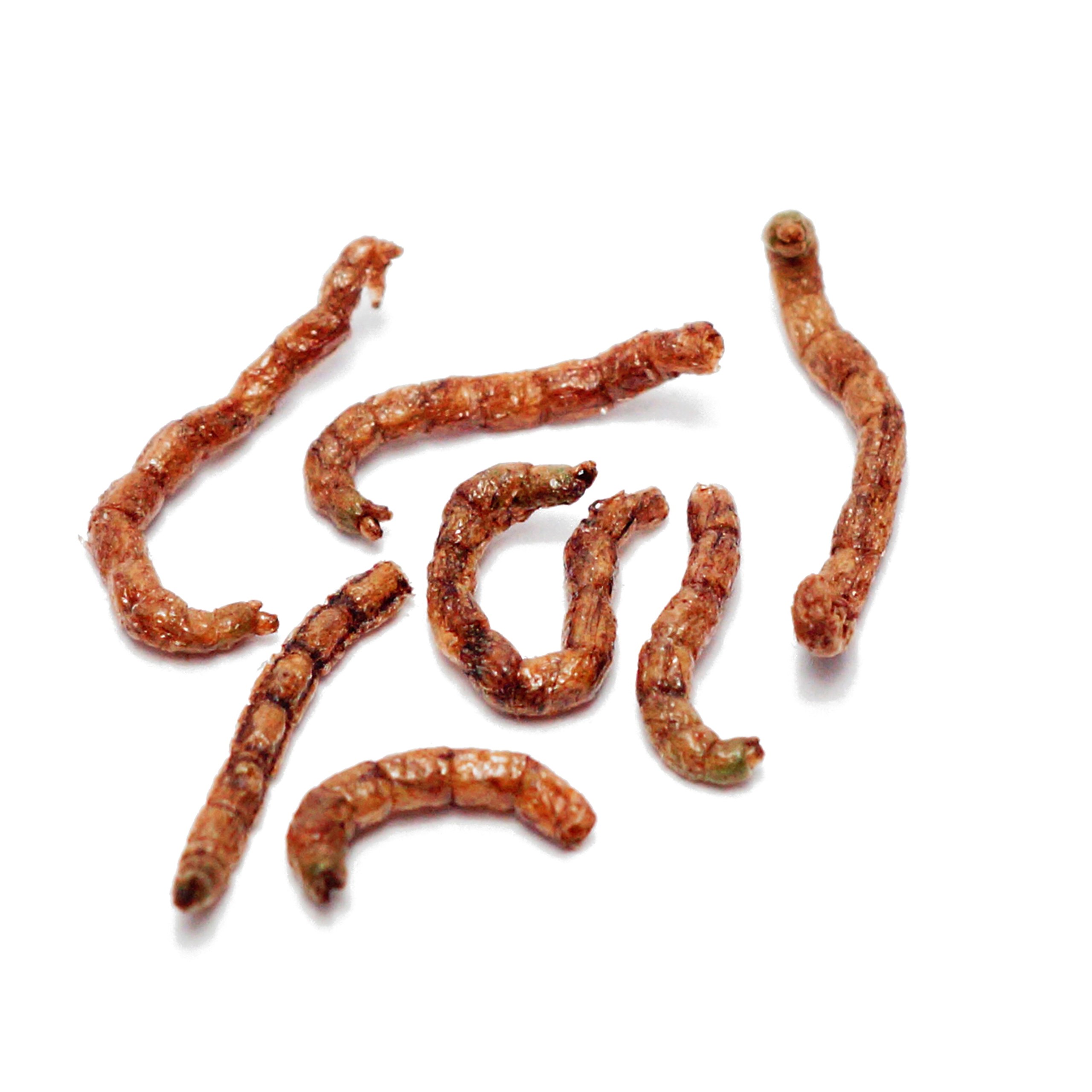 Red Mosquito Larvae FD secada para Tortugas de Agua Comida para Peces (10L = 1200g)