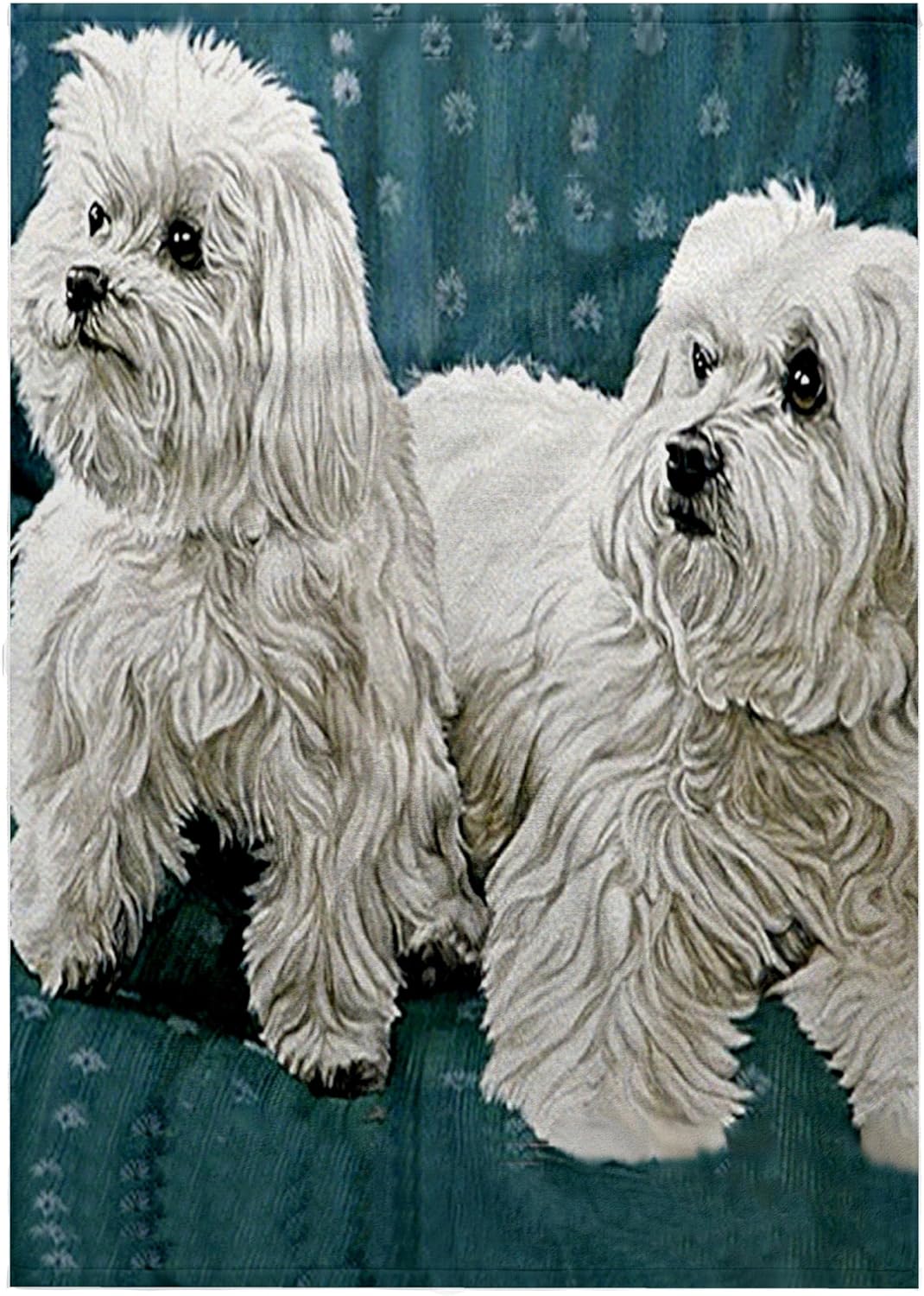 3dRose Two Maltese 22x30 Bath Hand Pool Towel