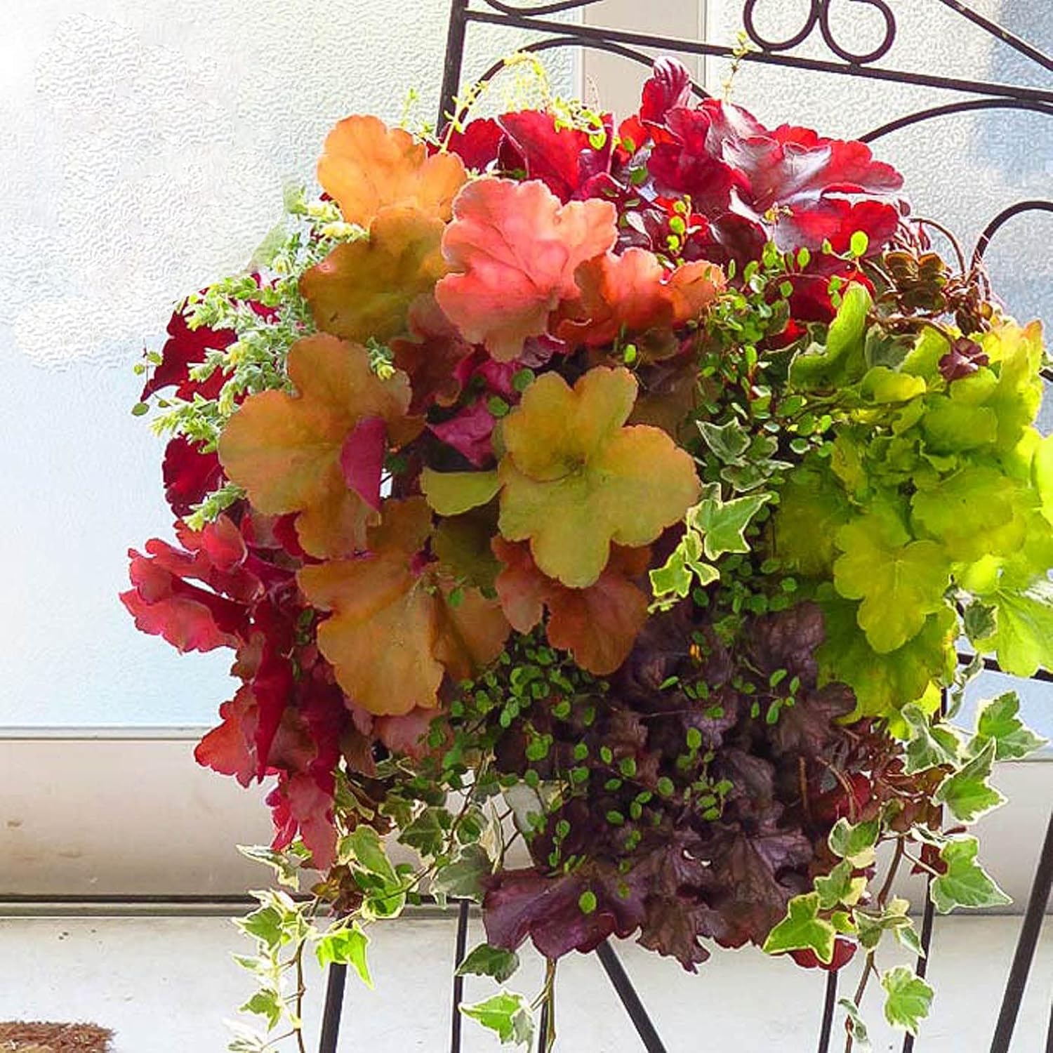 最終価格！超貴重品 大人エンタメ！年代物のきのこ盃 宴遊盃 最終価格