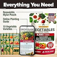 Vista 203 de HOME GROWN Semillas de diente de león para plantar 600 semillas de hierbas medicinales tradicionales (~ 0.01 oz) sin OMG cultivan hojas y flores