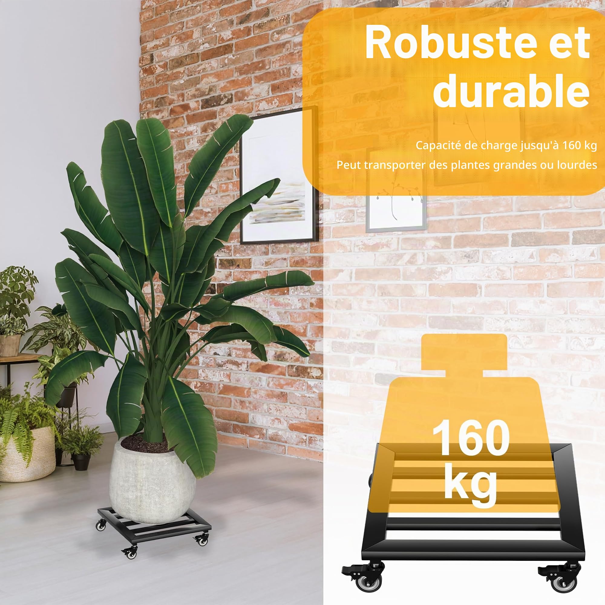 NAIZY Lot de 2 planches à roulettes pour plantes - 30 x 30 cm - Soucoupe carrée avec 4 roulettes - Capacité de charge : 160 kg - Pour l'extérieur et l'intérieur (type A)