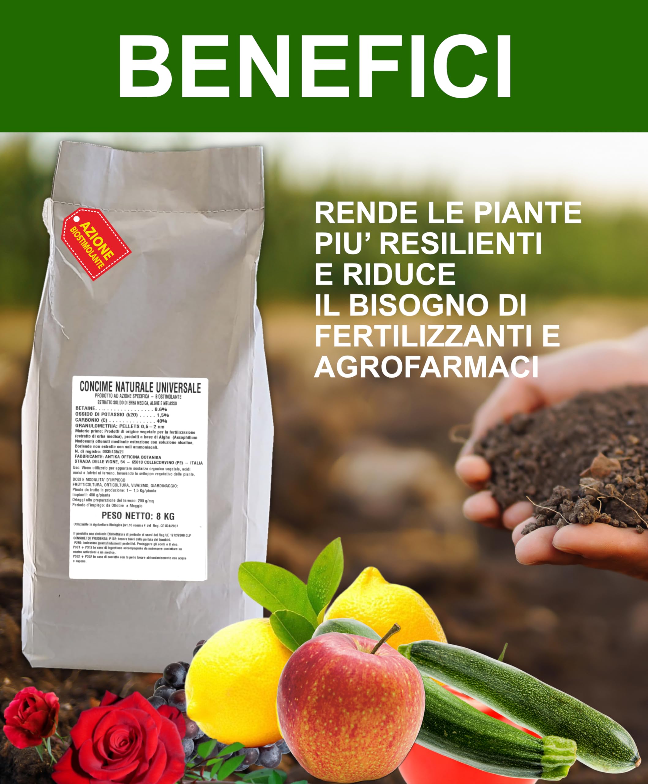 Concime Bio naturale ad azione biostimolante con ascophillum nodosum e borlanda essiccata per orto, frutteto, giardinaggio, vivaismo busta da 8 kg (Duo pack da 16 Kg)