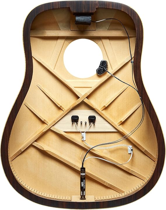 L.R. Baggs HiFi Acoustic Guitar Pickup System