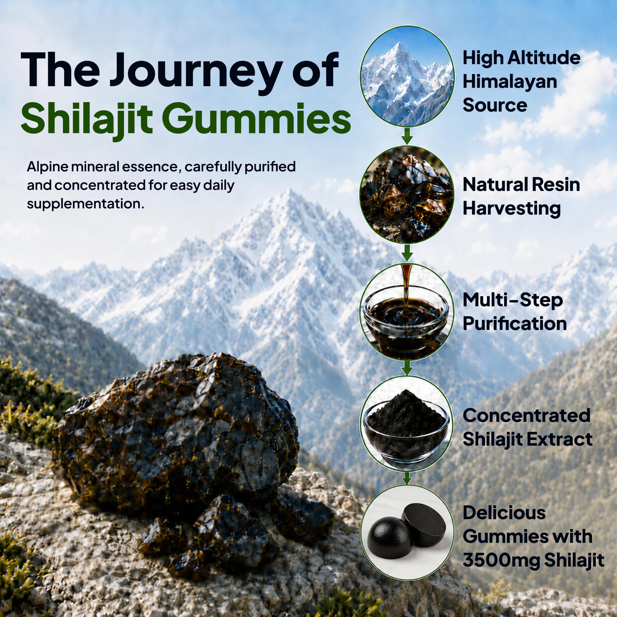 Nature's Key Shilajit Gummies for Men,3500mg Shilajit with Ashwagandha,Lions Mane Mushrooms,Sea Moss & Tongkat Ali,Energy & Immune Support for Men & Women,Mixed Berry Flavor — Amazon image 5