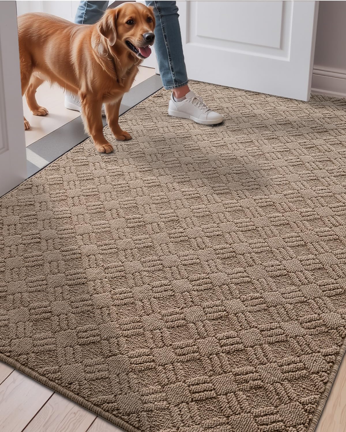 LUMI Indoor Door Mat, Absorbent Non-Slip Thin Doormat, Washable Door Mats, Woven Pattern Inside Floor Mat, Ideal for Entryway, Front Door, Home Decor, 36"x60", Woven Taupe