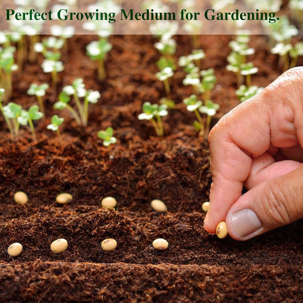 coco ぺージ Amazon.com : ZeeDix 8 Pack Coco Coir Brick (11.2lbs), 100