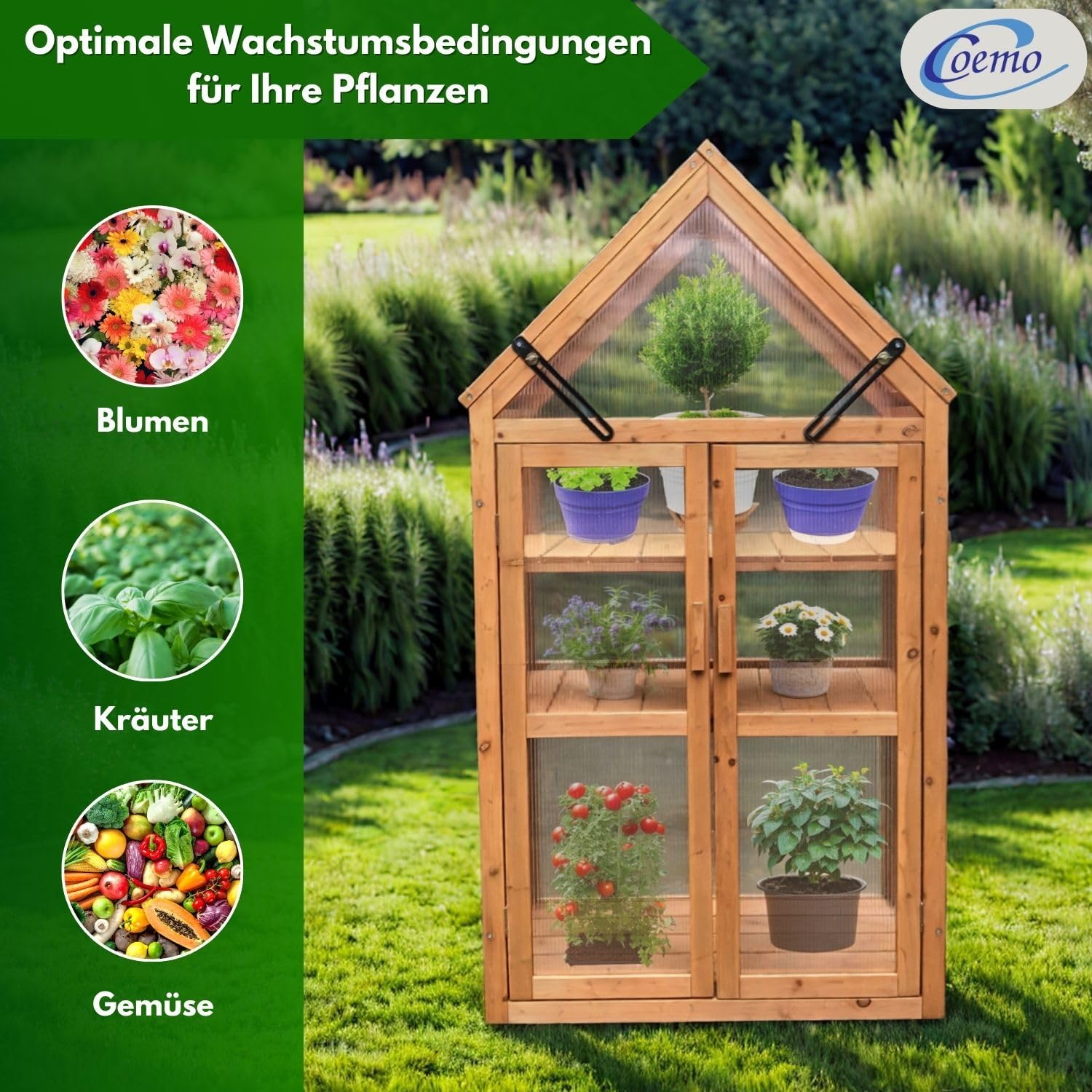 Coemo Holz-Gewächshaus Jan – Stilvolles Design, 65x40x120 cm, Farbe Braun, Aufklappbare Türen und Dach, Winterschutz Gewächshaus -Wetterfestes Pflanzenhaus für Kräuter, Tomaten & Setzlinge