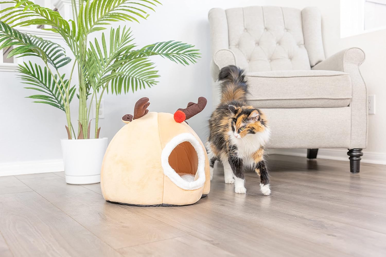 Downtown Pet Supply Holiday Cat Cave House and Kitty Bed, Reindeer Extremely Cozy and Warm Christmas Mat (Holiday) : Pet Supplies
