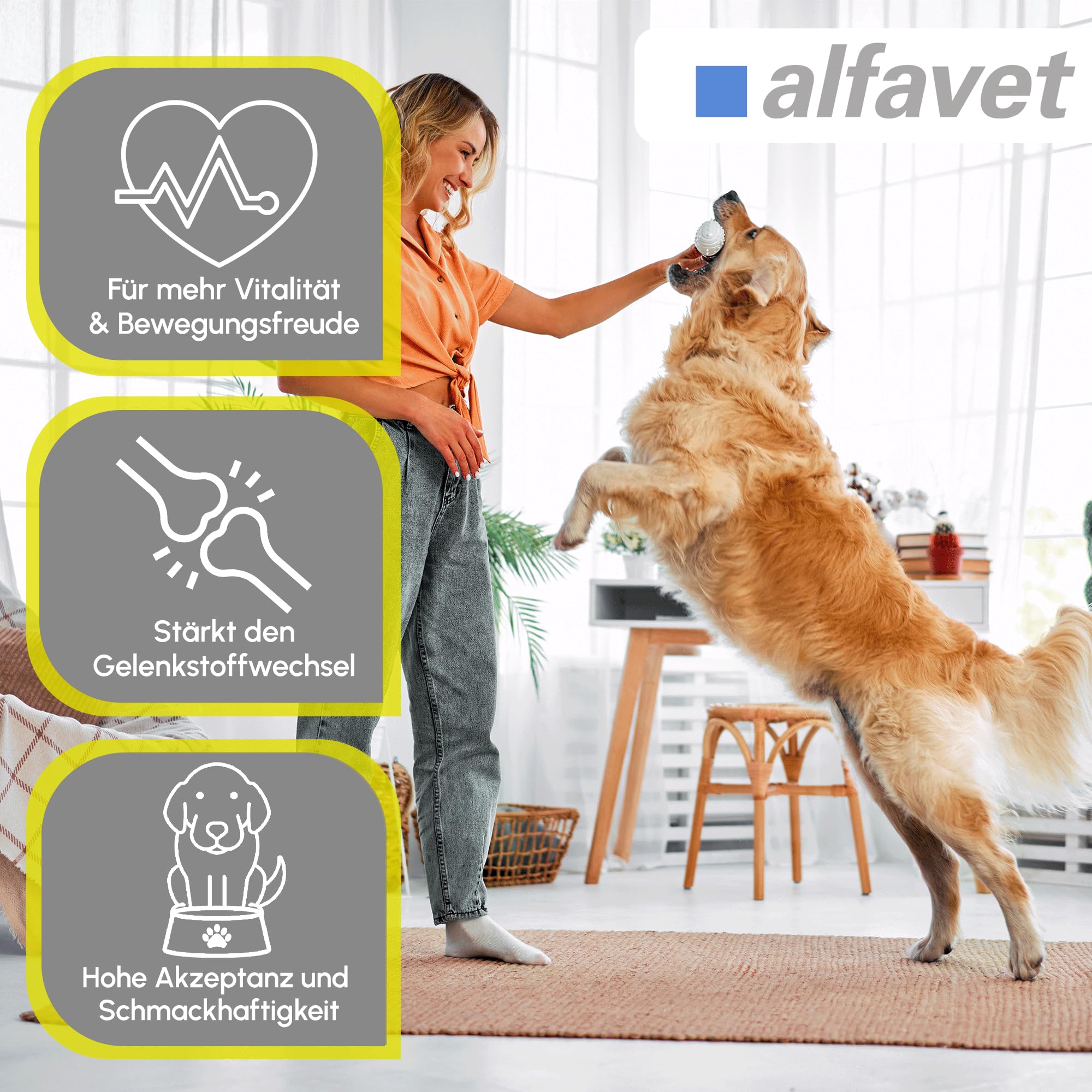 Alfavet CaniGum Artrin - 2 x 6 x 28 g Kauriegel Hund - Gelenkstoffwechsel