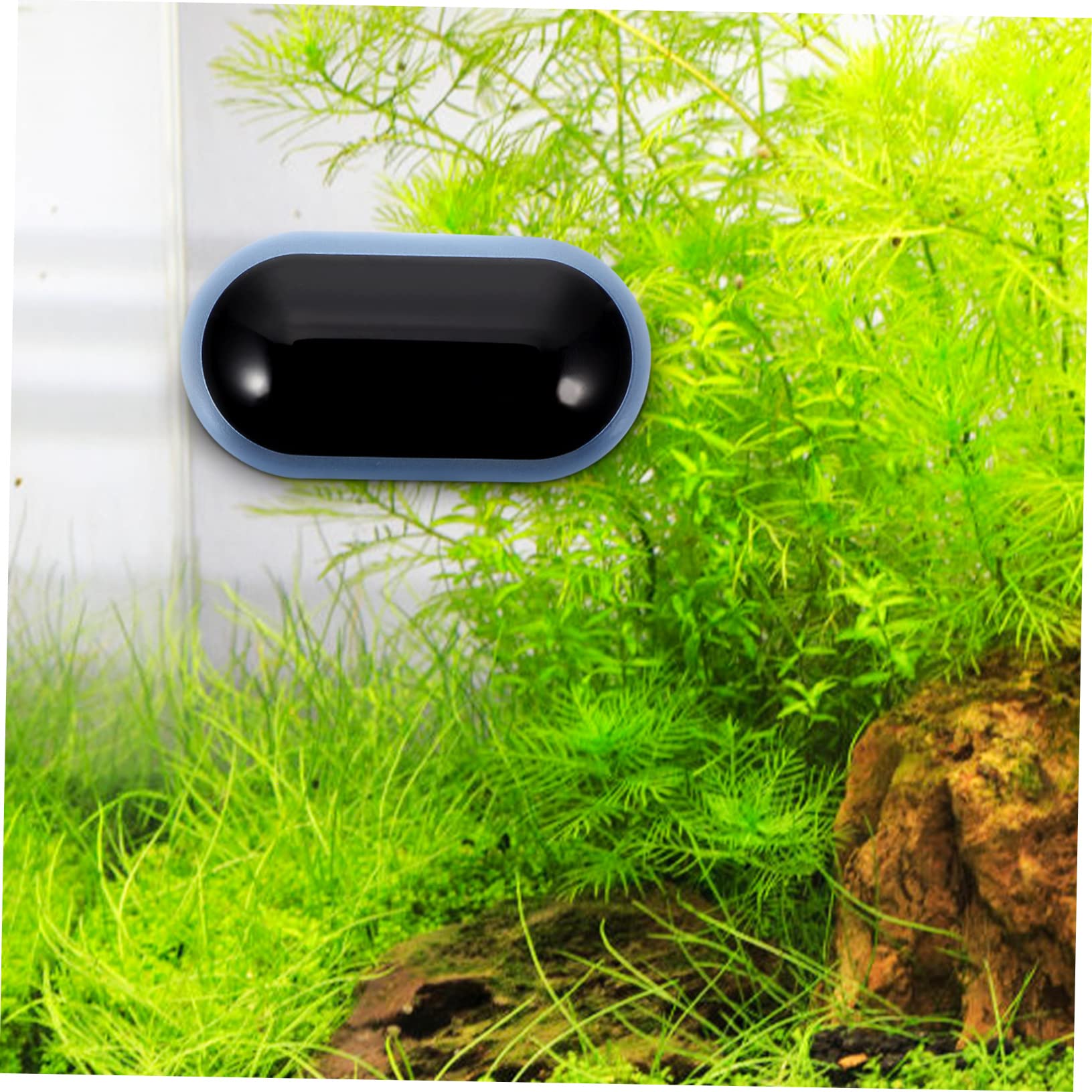 BESPORTBLE 4stücke Wassertankthermometer Mit -anzeige Für Aquarien Hochpräziser Temperaturmesser Für Fischbecken Und Terrarien Wiederverwendbar Installieren Und Abzulesen Temperaturgenau