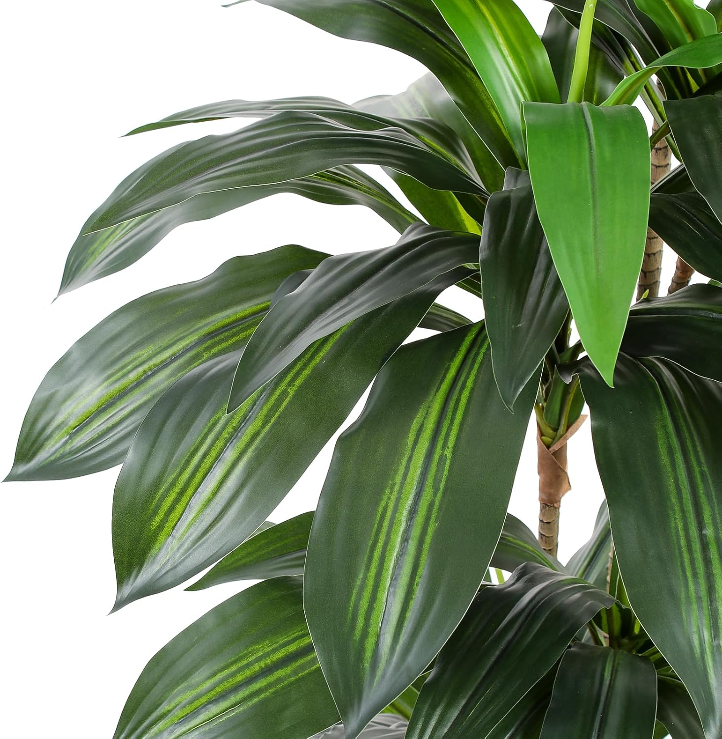 Artificial Dracaena Tree with White Tall Planter, 5ft Tall Potted Artificial Dracaena Silk Plant, Fake Yucca Tree Plant, Home Office Floor Room Decor Plants Indoor Outdoor, Housewarming Gift - Image 3