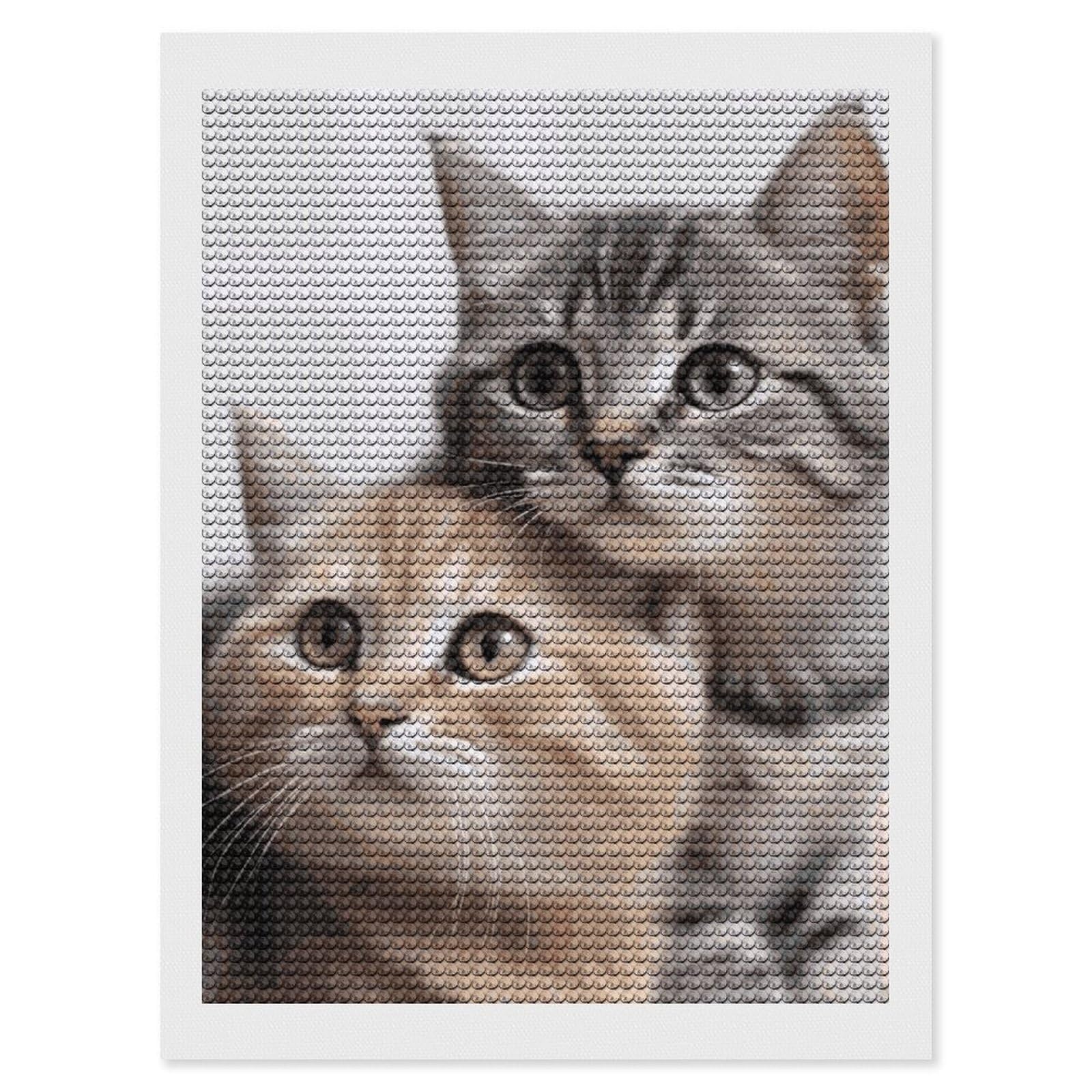 DWVTSLH Cats Diamond Painting Kits for Adults, Personalized Diamond Photo Art Full Drill, DIY 5D Diamond Art Painting Kits for Beginners, Home Wall Decor 12"x16"