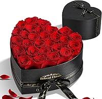 Auoasl 27 Eternal Preserved Roses Heart Box - Birthday Gifts for Women, Mom, Wife, Girlfriend on Valentine's, Mother's Day, Anniversary