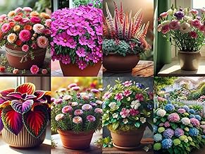 Low Maintenance Hybrid Flower Seeds Combo Pack- All Year Flower Seeds Supply (ALL INDIA EXOTIC 8 VARIETIES)