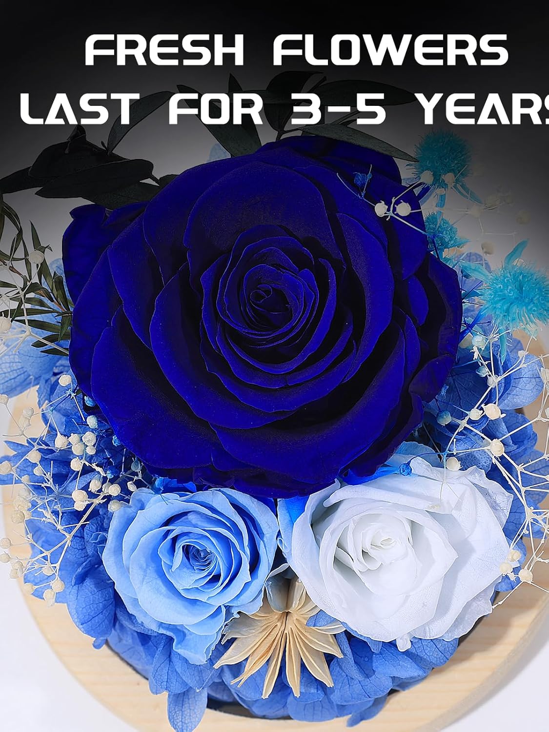 FIACO Preserved Rose Birthday Gift for Women Forever Fresh Flowers for Prime Delivery Gift for Mom Grandma Wife Valentines Mothers Day Christmas Anniversary Eternal Roses in Glass Dome - Image 2