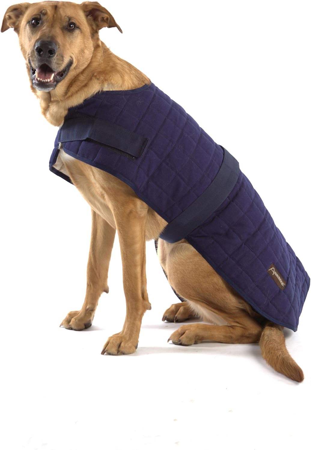 outback jack dog jacket