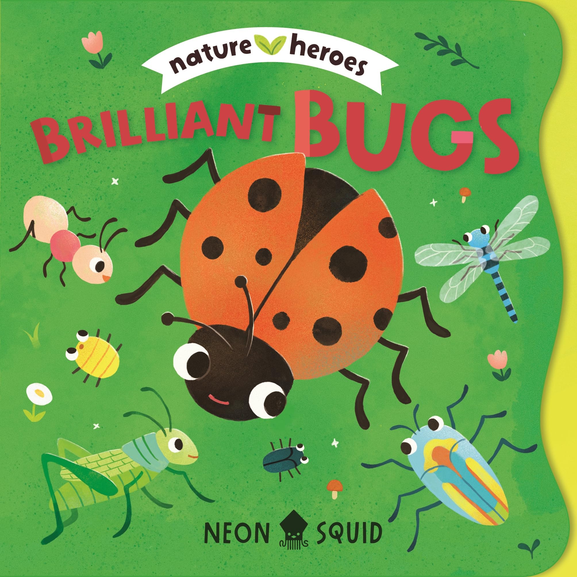 Brilliant Bugs: An adorable peek-through rhyming board book about insects and nature (Nature Heroes)