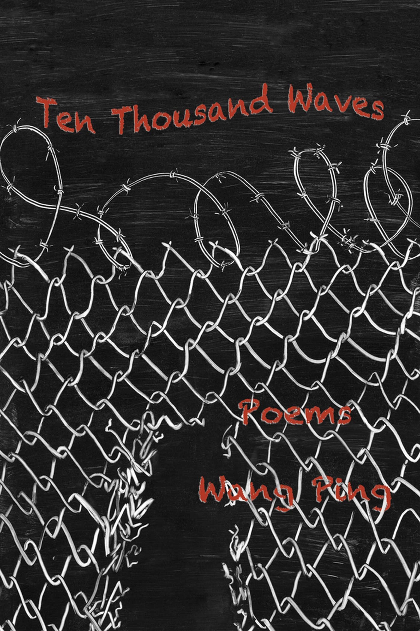 Buy Ten Thousand Waves: Poems — BookShops.in