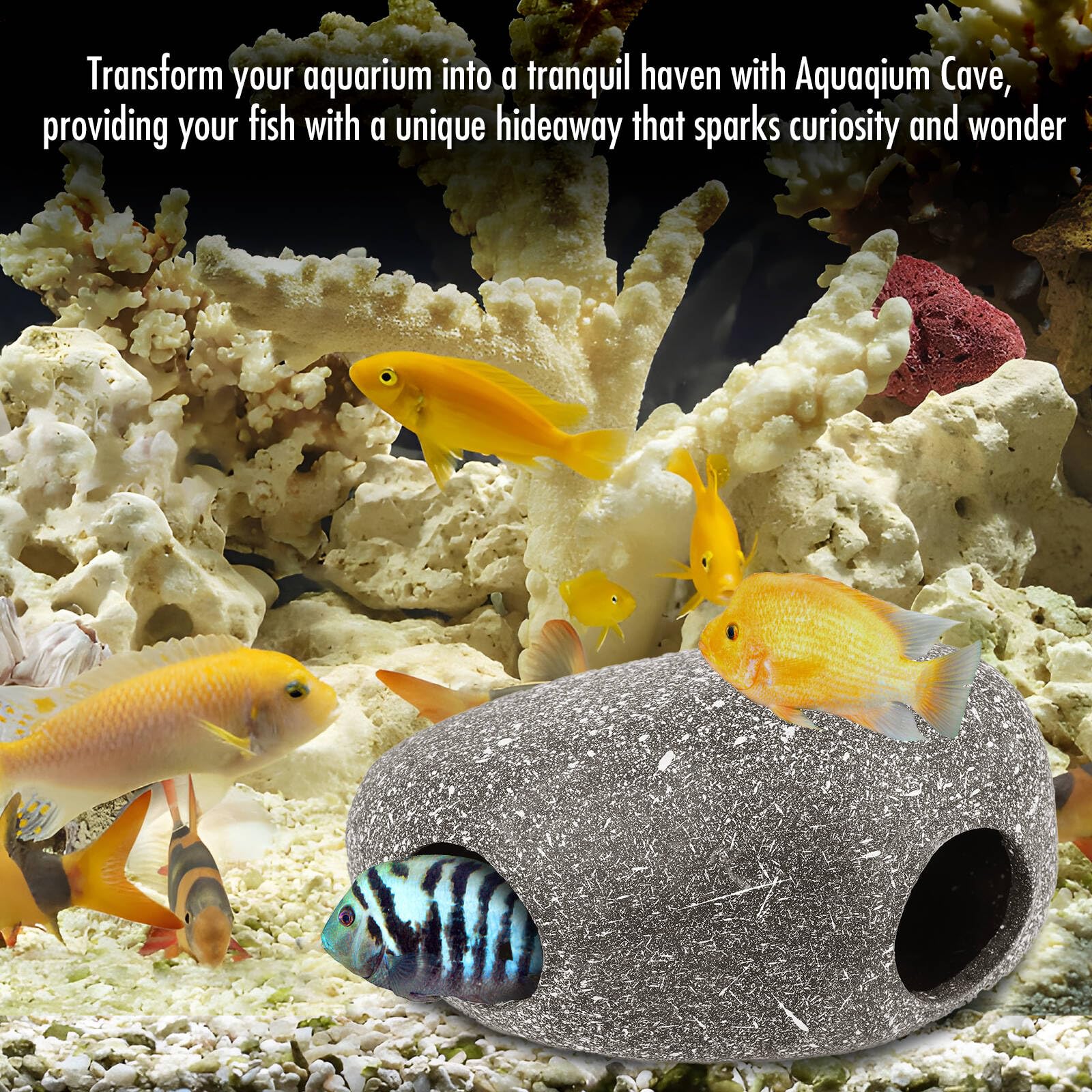 Toyvian 3 Stück Teiliges Aquarium Versteck Keramik Höhle