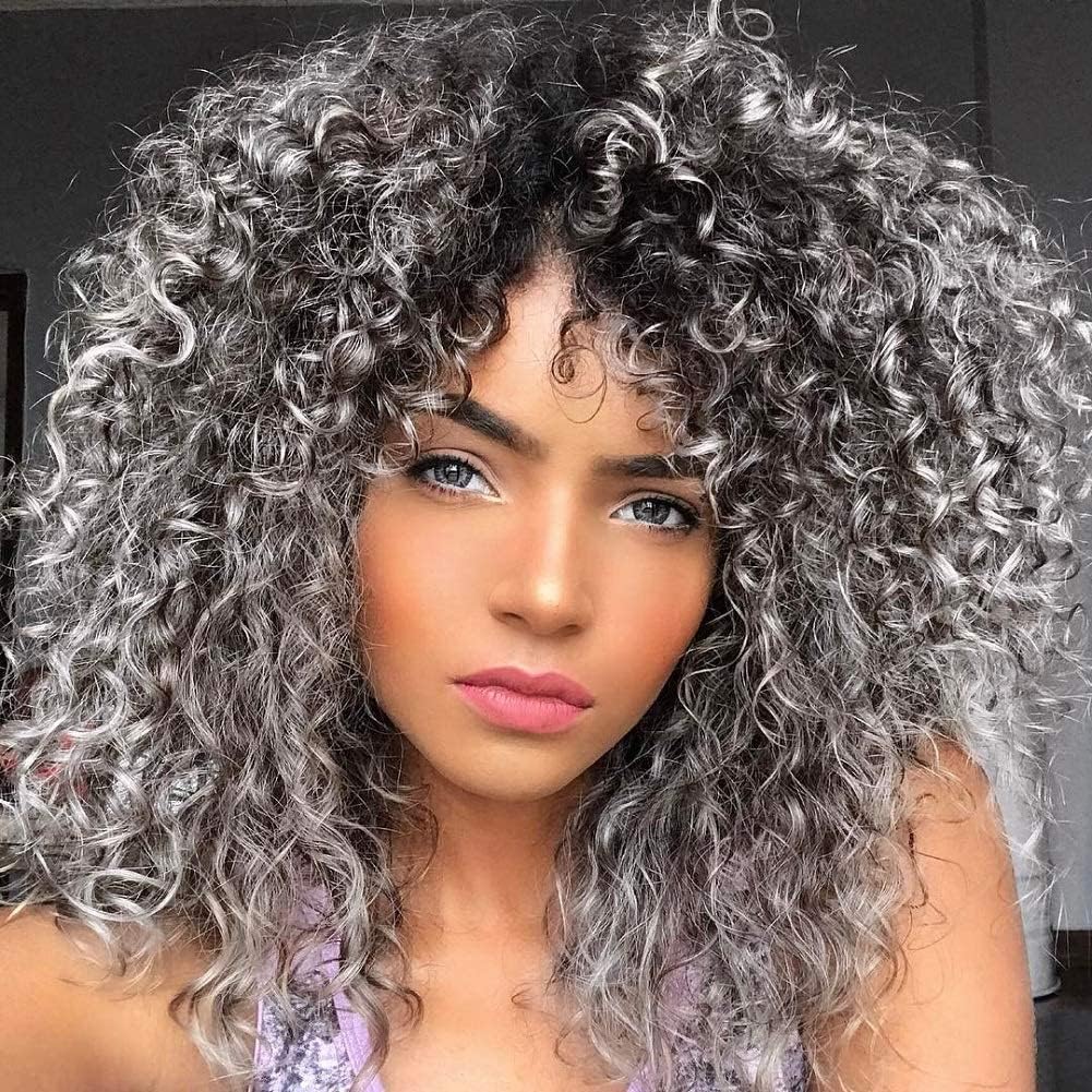 Colorfulpanda Black/Gray Silver Curly Afro Wigs for Women Medinum Length Natural Synthetic Hair Afro Kinky Curly Wig for Costume Wig or Daily Wear