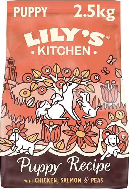 Lily'S Kitchen 18089 Karma dla Psa, 2.5kg