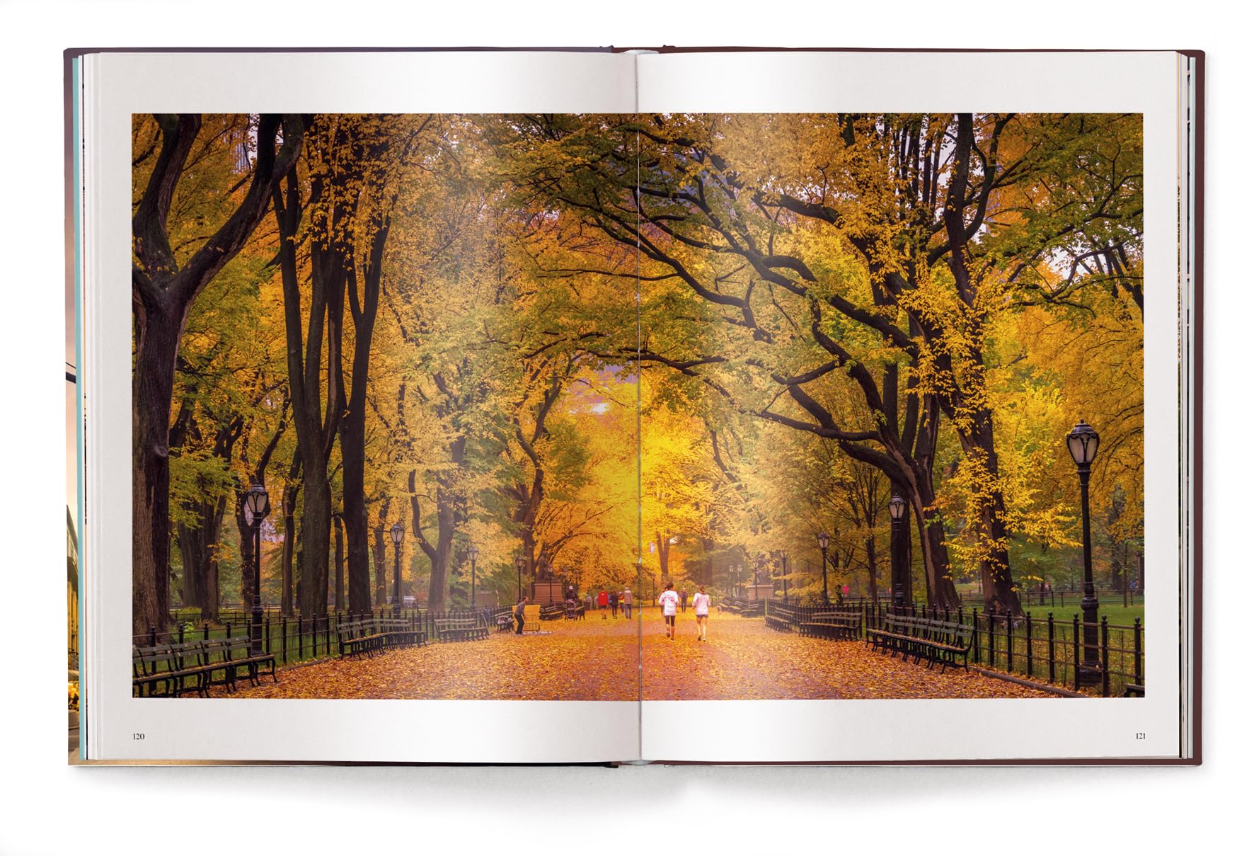 New York: Serge Ramelli (tN4t)