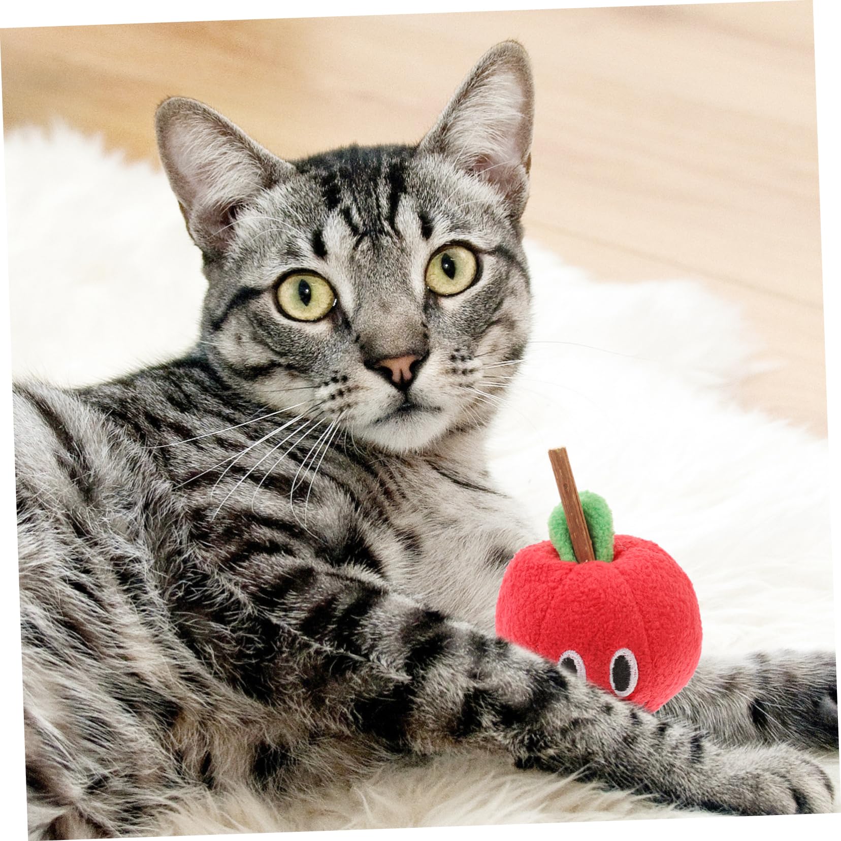 Jouet pour Chat Silvervine en Peluche, Fruit, Rouge, Chatons