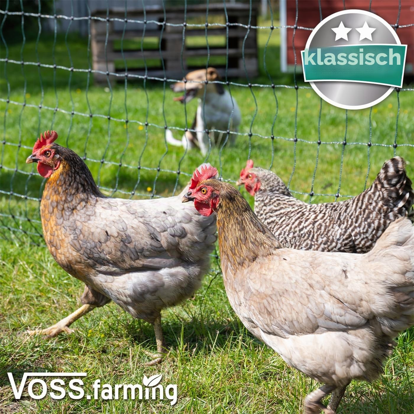 VOSS.farming 25 m Hundezaun, Katzenzaun, Hühnerzaun, Geflügelzaun, Geflügelnetz, 112 cm, 9 Pfähle, 2 Spitzen, grün Classic
