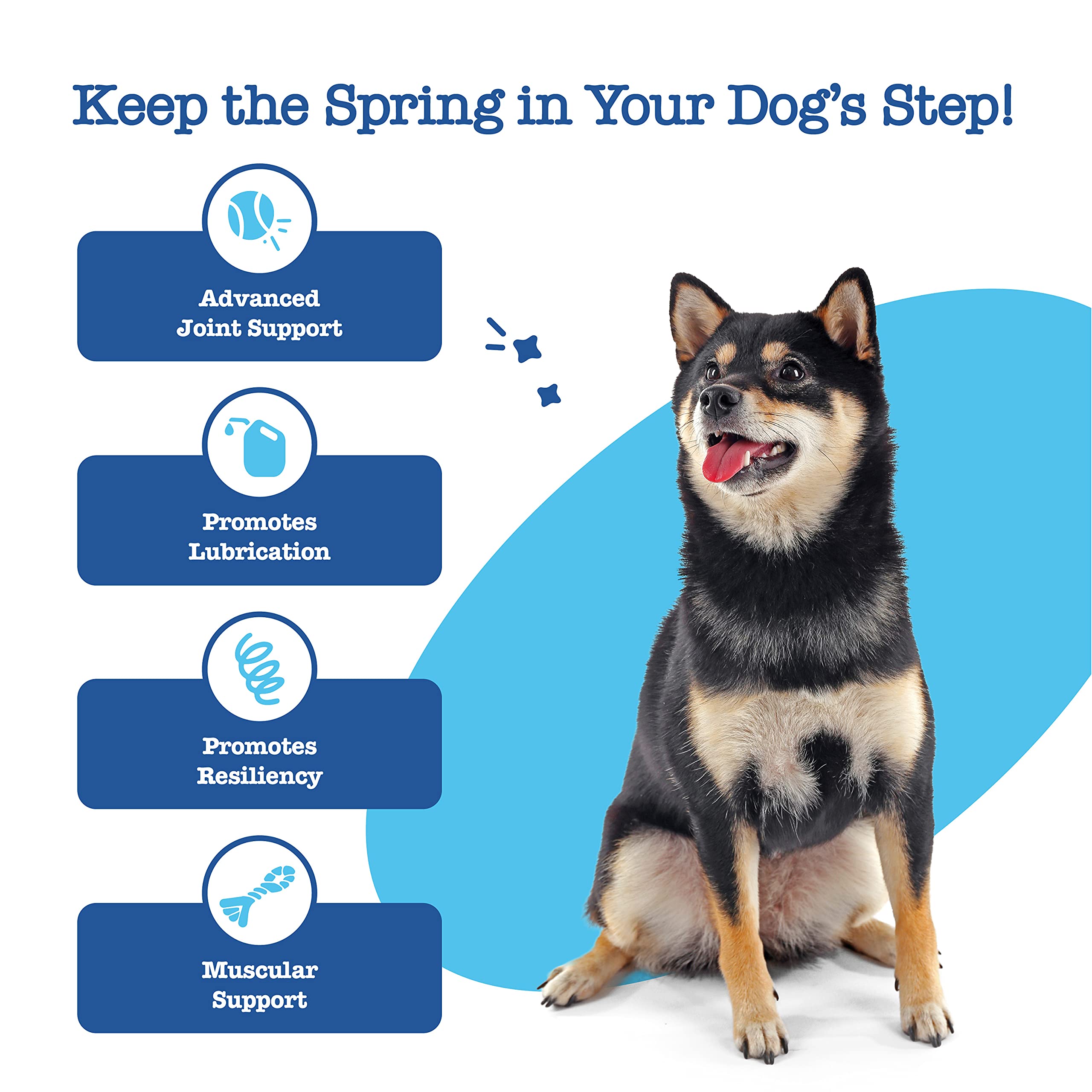 Buy Zesty Paws Glucosamine for Dogs Hip & Joint Health Soft Chews