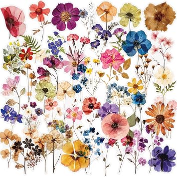 52Pcs Transparent Flora Scrapbook Stickers Pack, Colorful Wildflower Daisy Rose Stickers for Journaling Planner, Waterproof Aesthetic Floral Decals for Water Bottles Laptop Spring Garden