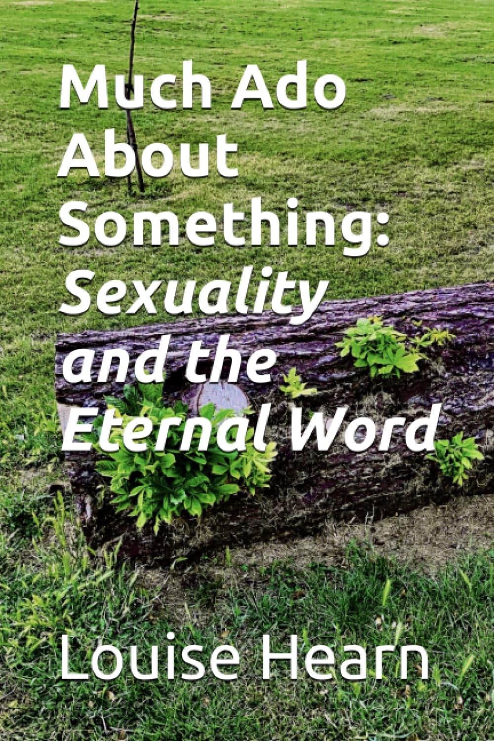 Much Ado About Something: Sexuality and the Eternal Word