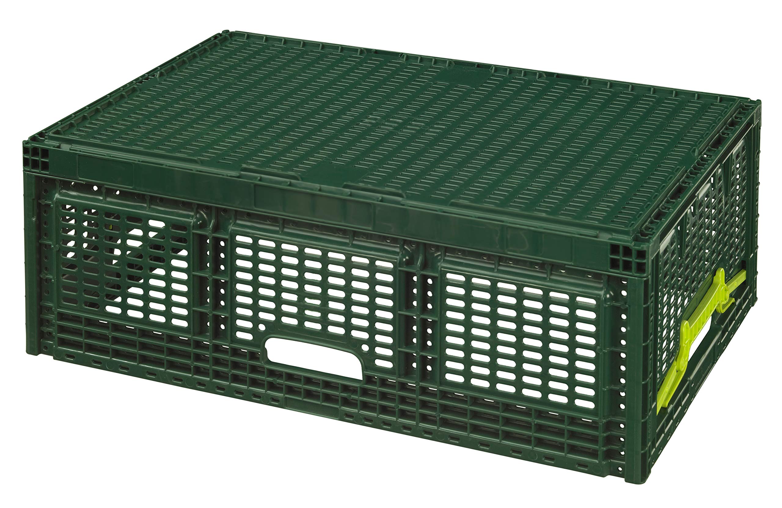 Logiplast 10 x Stabile Klappbox aus Kunststoff 60x40x21,9 cm Gemüsekiste Faltbox