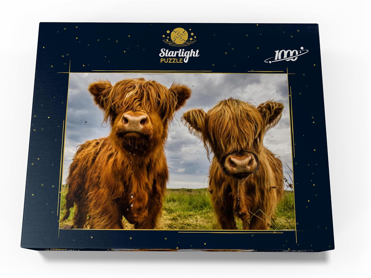 MyPuzzle Two Highland Cows - Premium 1000 Piece Jigsaw Puzzle for Adults